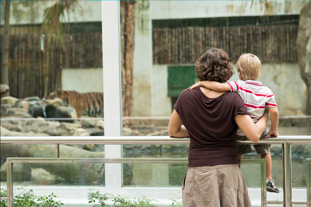 zoo safety system